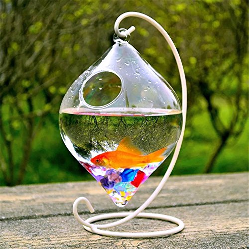 SHINA Creative Hanging Glass Fish Tank Transparent Fish bowl