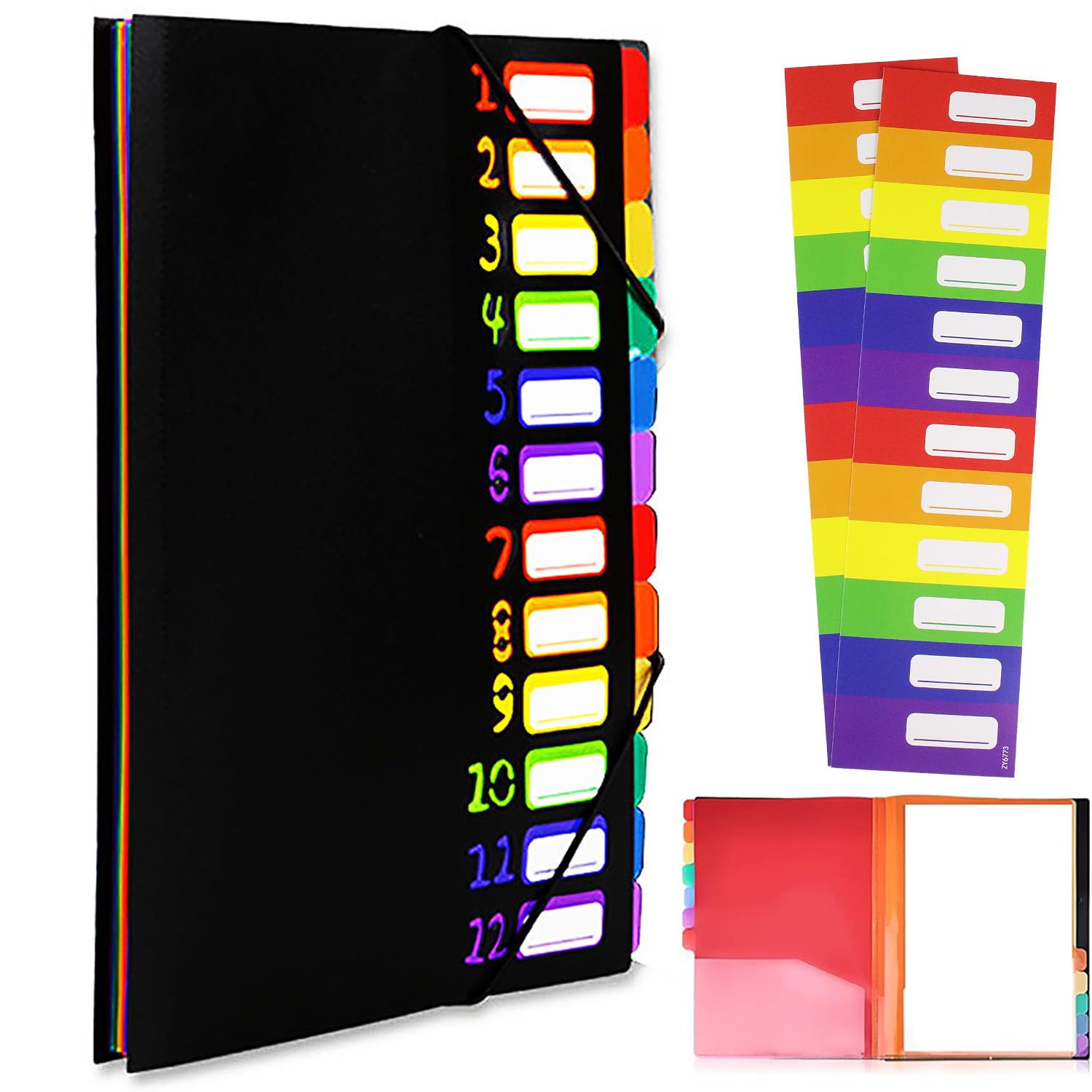 VIQWYIC A4 Document Folder with 12 Compartments - Waterproof PP Plastic Folder with Elastic Band & Coloured Labels - Portable Organiser for School/Office (Black)