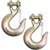 Boxer 2 Pack - 5/16” Grade 70 Forged Clevis Slip Hook with Safety Latch, 18,800lbs Breaking Strength - Chain Hooks, Transport and Towing Trucks