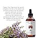 Laritelle Organic Hair Growth Complex | Hair Loss Treatment 4 oz + Hormonal Balance & Thyroid Support Treatment 1 oz | Balances Hormones, Nourishes Hair Follicles, Promotes New Hair Growth | GMO-free