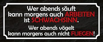 Download Fliegen spruch Desktop Wallpaper Fliegen Spruch