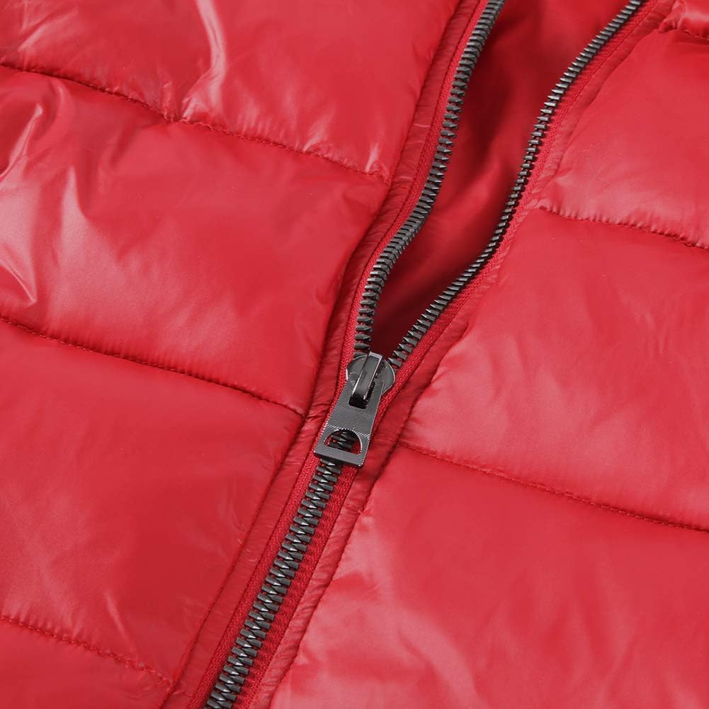 BINACL Men's Winter Jacket,Thicken Quilted Hooded Padded Down Alternative Puffer Coat(5 Color,XS-XXL): Clothing