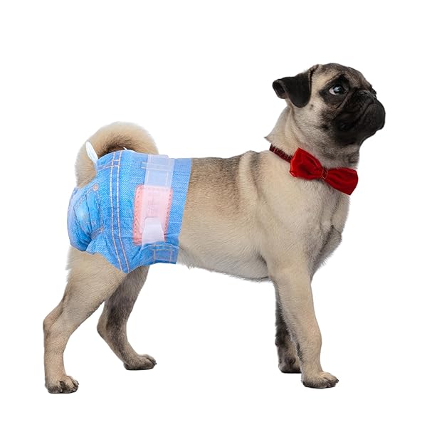 FLYING PAWS DOG DIAPERS FEMALE, DISPOSABLE DOG DIAPERS SMALL JEANS PATTERN DOGGIE PUPPY DIAPERS FEMALE CATS, SMALL, 32COUNT