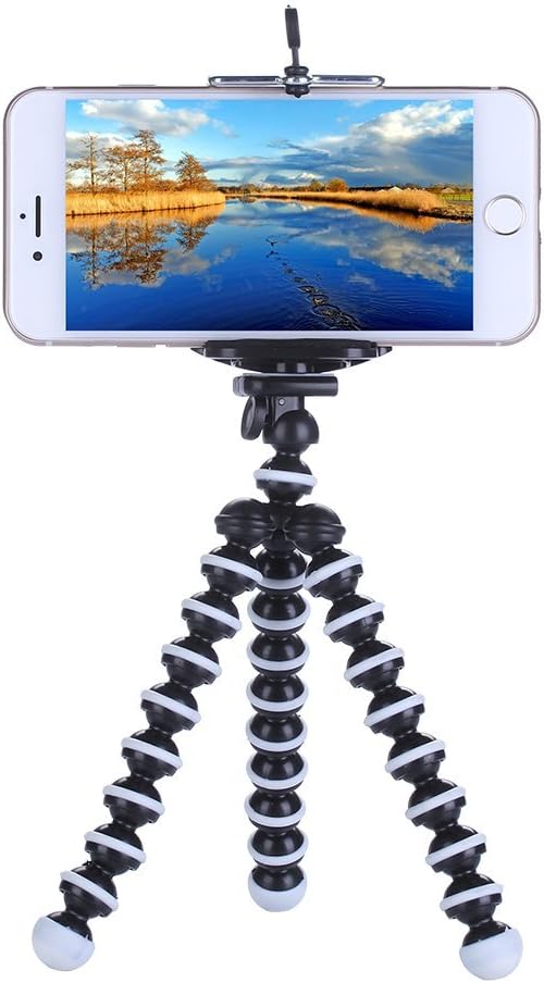Rienar Octopus Style Flexible Portable and Adjustable Tripod Stand Holder for Small Camera Smart iPhone Cellphone : Camera & Photo