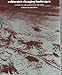 California's Changing Landscapes: A Guide to the Geology of the State by 