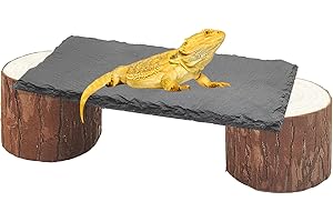 GXSDJ Bearded Dragon Basking Platform,Reptile Heat Storage Slate Stone with Wooden Pile,Gecko Climbing Slate Stone and Hide Caves,Turtle Basking Rock for Lizards Snakes Chameleon,Tortoise,8x4x2.4 inch