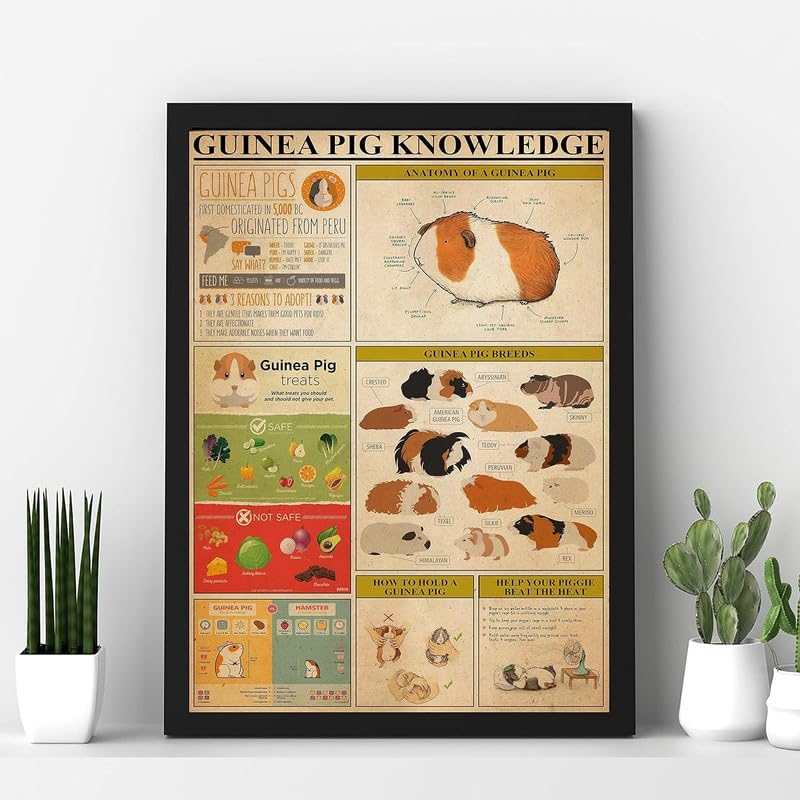 Guinea Pig Knowledge Poster Vintage Signage For Home Garage Decor Gifts Metal Tin Sign 8x12 Inch