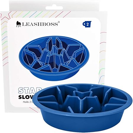 elevated slow feeder dog bowl