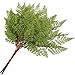GTidea 2pcs Artificial Plastic Boston Ferns Bush Faux Grass Leaves Fake Shrubs Plant Greenery Home Garden Wedding Patio Outside Balcony Gallery Decor