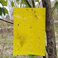 CHEPULA 20 Pack Dual-Sided Yellow Sticky Traps for Flying Plant 9.8