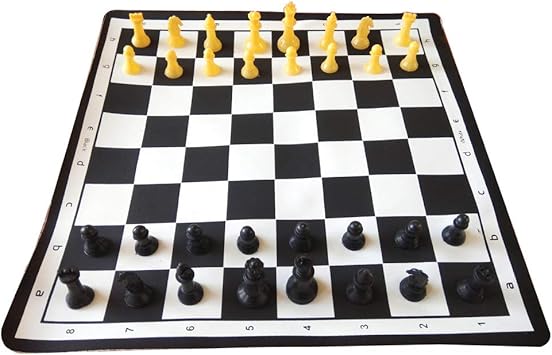 UNIK Vinyl Foldable Chess Mat with Coins, 18 Inch