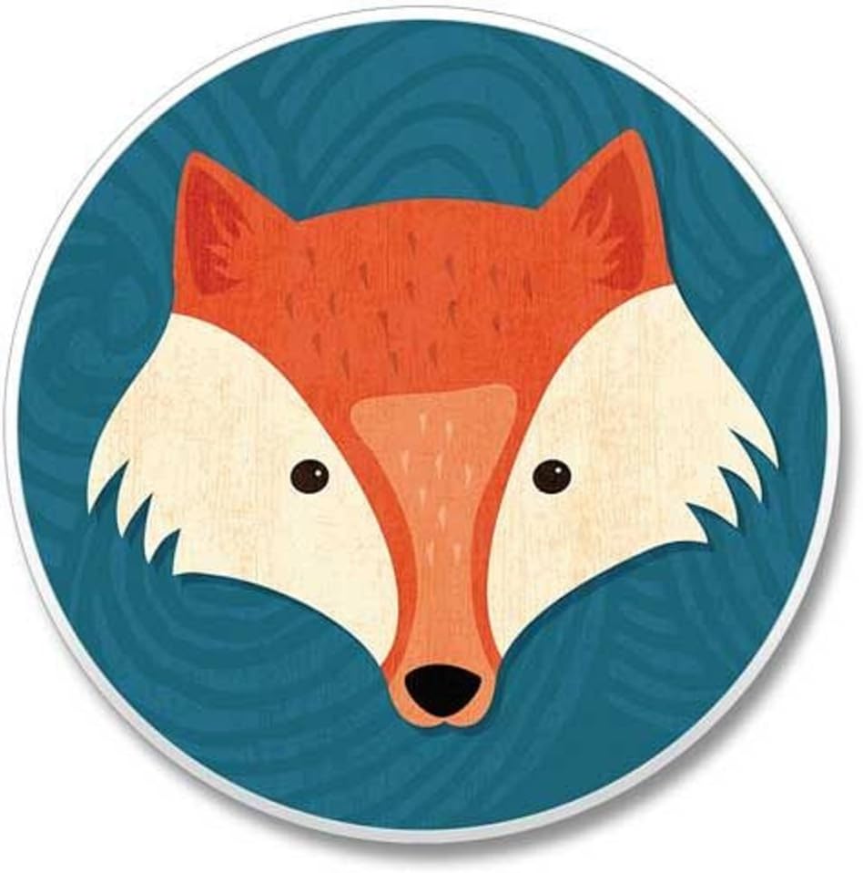Amazon Com Foxy Auto Coaster Coasters