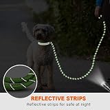 Taglory Rope Dog Lead with Padded Handle 1.0 cm Reflective Green 1.2 m view 5