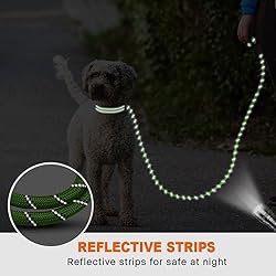 Taglory Rope Dog Leash 6FT with Comfortable Padded