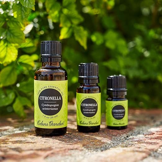 Edens Garden Citronella Essential Oil 100 Pure Therapeutic Grade Highest Quality Aromatherapy Oils Inflammation Skin Care 10 Ml
