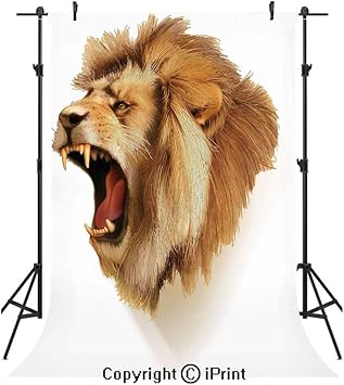Amazon Com King Photography Backdrops Roaring Wild Lion Head
