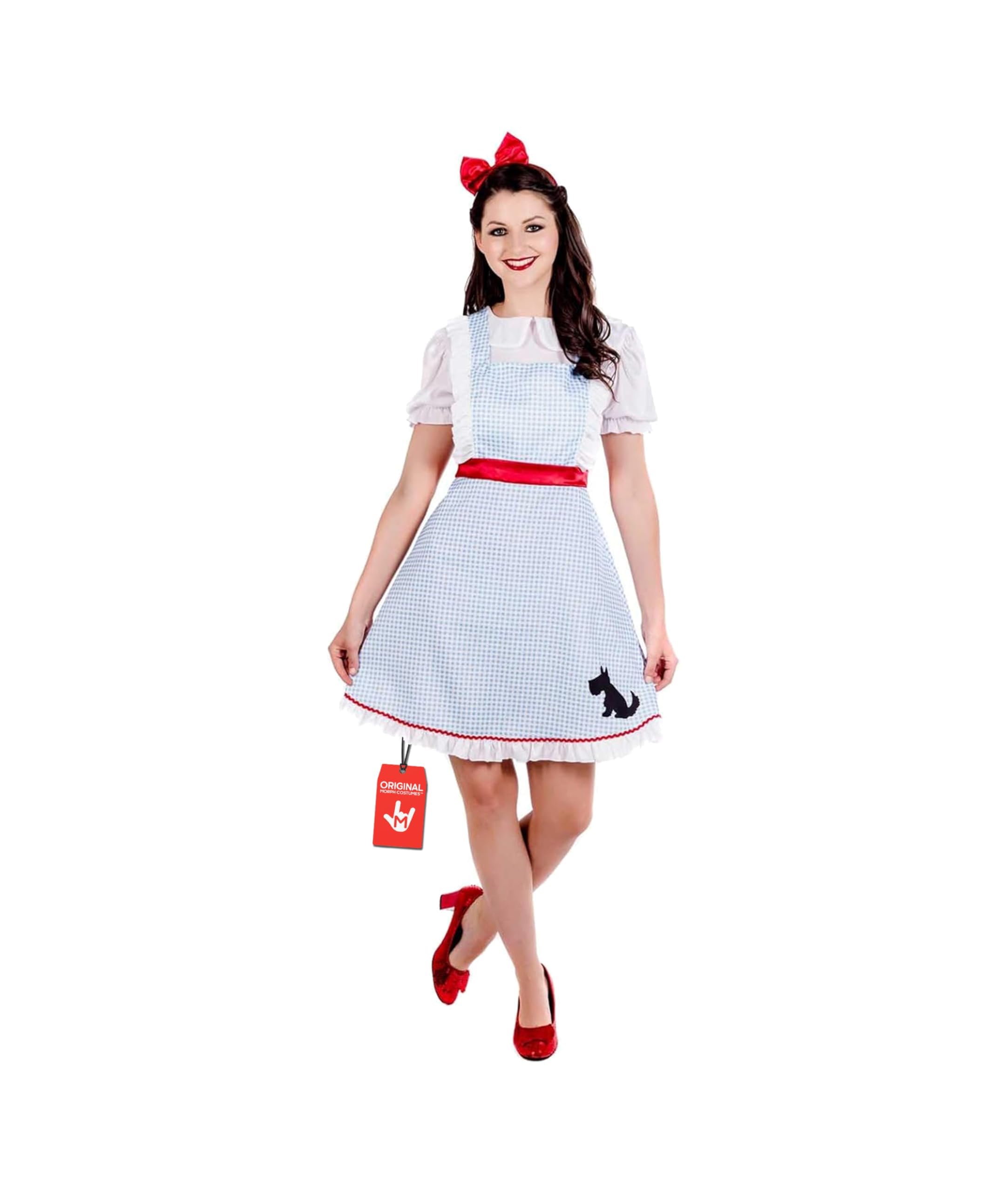 Fun Shack Dorothy Costume Adult Women Halloween Outfit World Book Day Dress Classic Character Costume, Medium