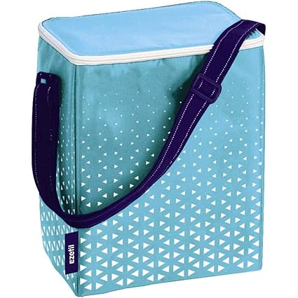 EZetil FRE34108 - Nevera portátil: Amazon.es: Coche y moto