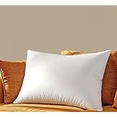 Shilucheng Down Pillows Queen Size Set of 1, 900+ Fill Power Side Sleeper Pillow for Sleeping, Hotel Quality Pillows for Side（White,20" x 30"）