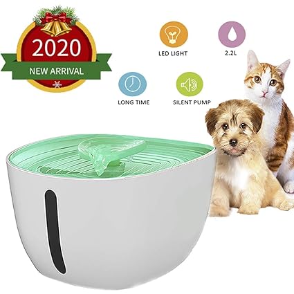 Activated Charcoal For Dogs Petsmart Off 74