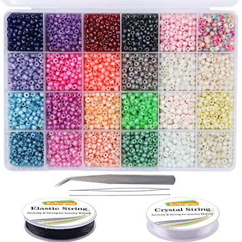 EuTengHao 6000pcs Glass Seed Beads Small Craft Beads Small Beads