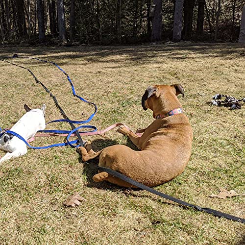 Dog Training Lead Long Dog Leash, Long Nylon Training Dog Leash for Pet Tracking Training Obedience Lead Leash Long Training Dog Leash Long Dog Recall Lead (10M/30FT)