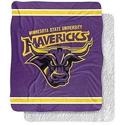 Minnesota State University Mankato