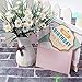AmyHomie Artificial Flowers, Silk Daisy, Artificial Gerber Daisy for Home Decoration, Artificial Daisy for Wedding Decoration (white with leaves)