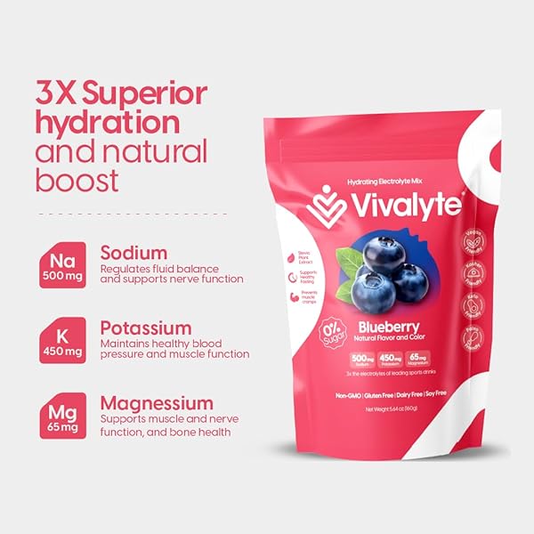 VIVALYTE ELECTROLYTE POWDER NO SUGAR STEVIA SWEETENED 100% NATURAL HYDRATION PACKETS – 20 COUNT | SODIUM, POTASSIUM CITRATE & MAGNESIUM L-THREONATE (5.64, BLUEBERRY)