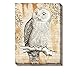 ArtKisser Original Painting of Owl Pictures on Canvas Wall Art Framed Ready to Hang for Bedroom Living Room Decoration 12