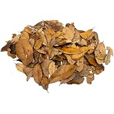XYZReptiles Premium Live Oak Leaf Litter Isopod Substrate Terrarium Bedding (1 Gallon)