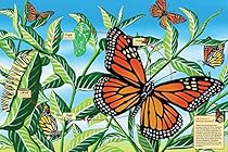 Cobble Hill Life Cycle of a Monarch Butterfly 48 Piece Floor Puzzle
