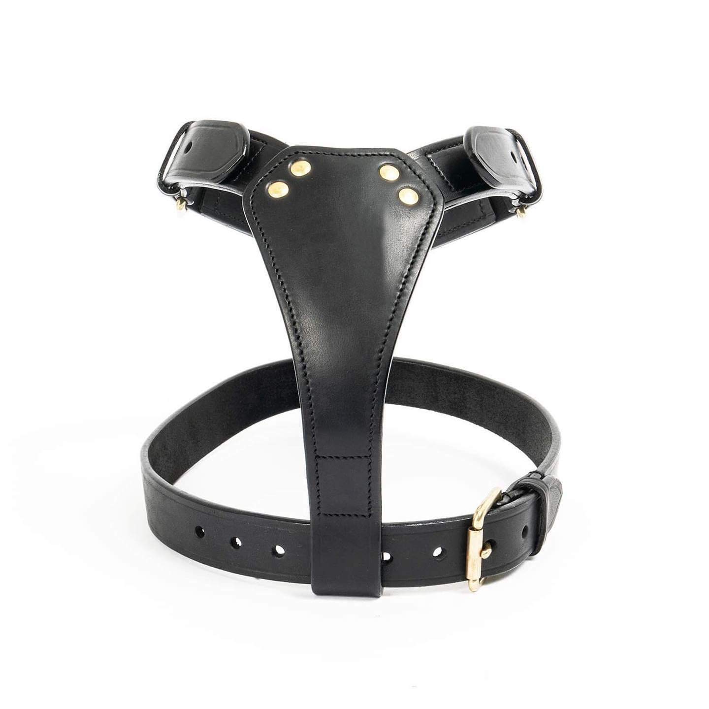 TUGBY XS/S/M/L/XL/XXL Dog Leather Harness Sets with Matching Dog Lead (Brown, XL)