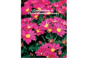 Compendium of Chrysanthemum Diseases