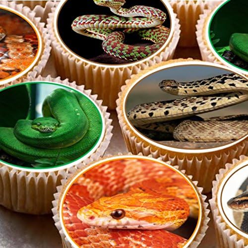 24 Cake Toppers 4cm On Icing Cupcake Images - Mixed Snakes Cobra Corn Python