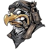 2 Pcs American Bald Eagle Flag Decal Sticker, Scratch Vinyl Bumper Patriotic Waterproof Eagle for Car Truck Trailer SUV Outdoor Window Wall Laptop Tablet Any Smooth Surface