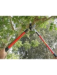 Tabor Tools GG12, tijera de podar compuesta, corta ramas gruesas con facilidad, capacidad de corte de 2 pulgadas, recortadora de árbol de 30 pulgadas con asas resistentes de efecto profesional con efecto palanca de 22 pulgadas