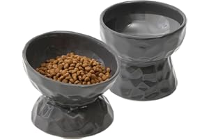 Havniva Ceramic Raised Tilted Cat Bowl, Elevated Food and Water Bowl,Kitty Bowl,Cat Dish, Pet Feeder (Dark Grey, Raised x 1 + Tilted x 1)