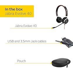 Jabra Evolve 40 Professional Wired