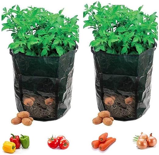Fangfang - Bolsas de cultivo para plantas de 7 galones, con asas y ...