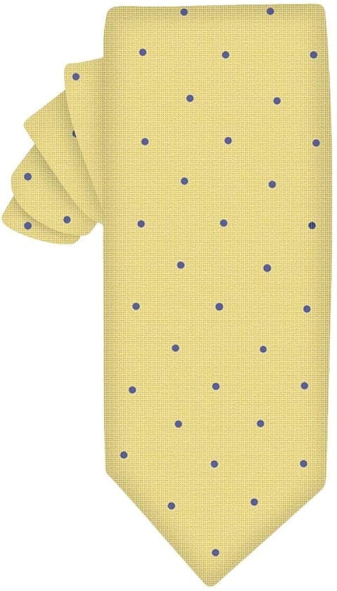 Regali Di Natale 5 Anni.Cravatta Sottile Oro Con Pois Blu 5 Anni Di Garanzia Regali Per Uomini Regalo Di Natale Per Uomini Amazon It Abbigliamento