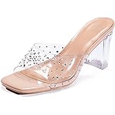 Shion ShaaYii Clear Heels for Women Transparent Two Strap Block Chunky Square Heel Sandals Open Toe Slip On Mules for Women