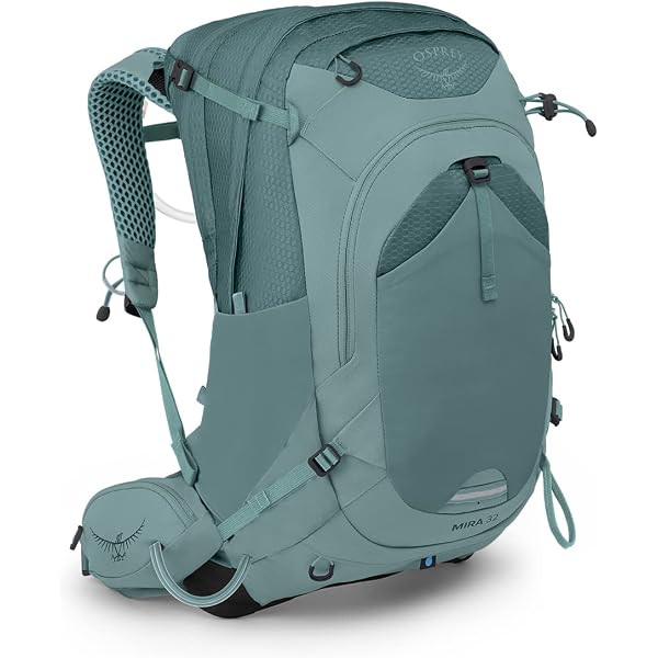 belt bag like lululemon Everywhere Belt Bag — The Dashery