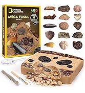 NATIONAL GEOGRAPHIC Mega Fossil Dig Kit – Excavate 15 Prehistoric Fossils Including Dinosaur Bone...