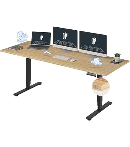 Amazon.com: FLEXISPOT E6 Essential Bamboo 3 Stages Dual Motor