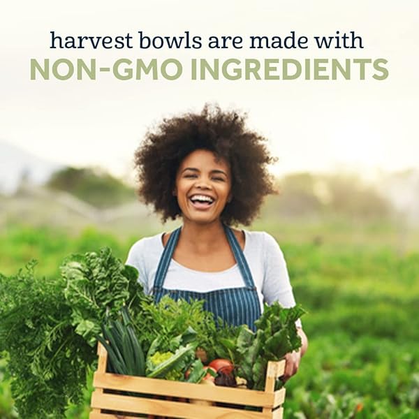 GERBER UP AGE MEALTIME HARVEST BOWL GARDEN TOMATO, 4.5 OZ