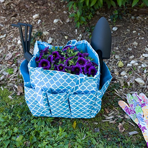 Small Garden Tote Bag, Utility Bags for Gardening, Car Totes, Organization, (Aqua Blue)