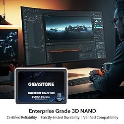 Gigastone Enterprise SSD 4TB NAS SSD Drive Cache