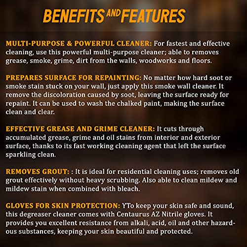 Trisodium Phosphate Heavy duty Degreaser Savogran TSP Wall Cleaner