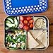 LunchBots Large Cinco Stainless Steel Lunch Container - Five Section Design Holds a Variety of Foods - Metal Bento Box - Dishwasher Safe - Stainless Lid - Blue Dots